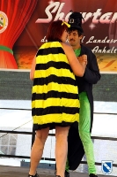 Showtanzfestival 2010