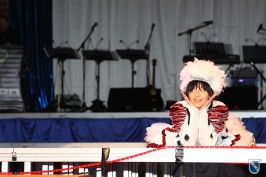 Sessionsfinale 2011