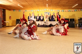 Karneval 2011 / 2012